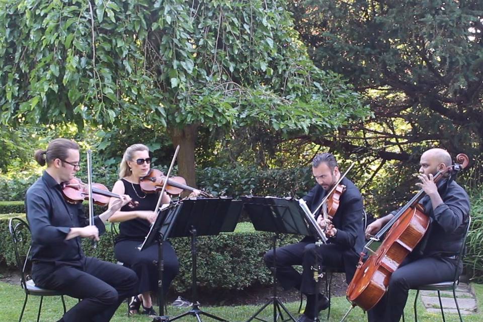 GTA STRINGS - String Quartet