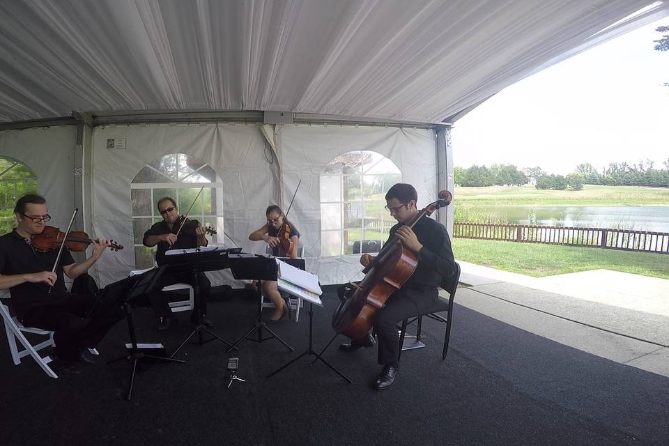 GTA STRINGS - String Quartet