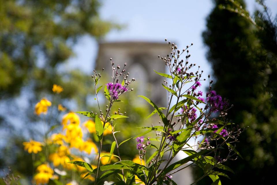 Our Gardens