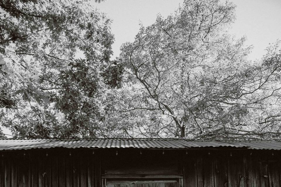 Www.perrinsphotography.com