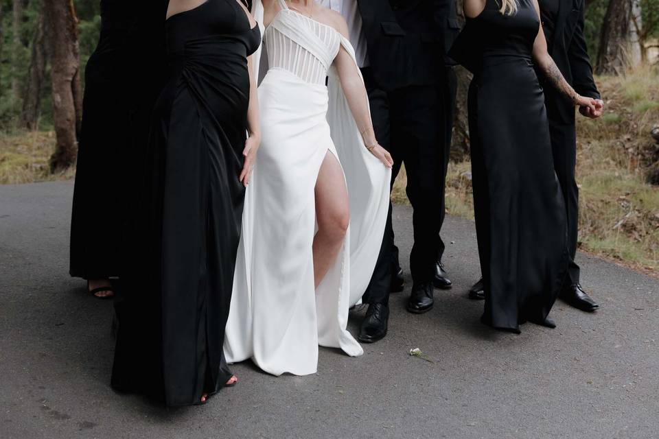 Olympic View Wedding 2025