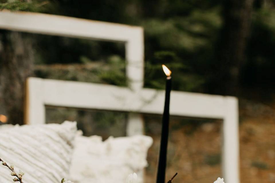 Algonquin Park elopement