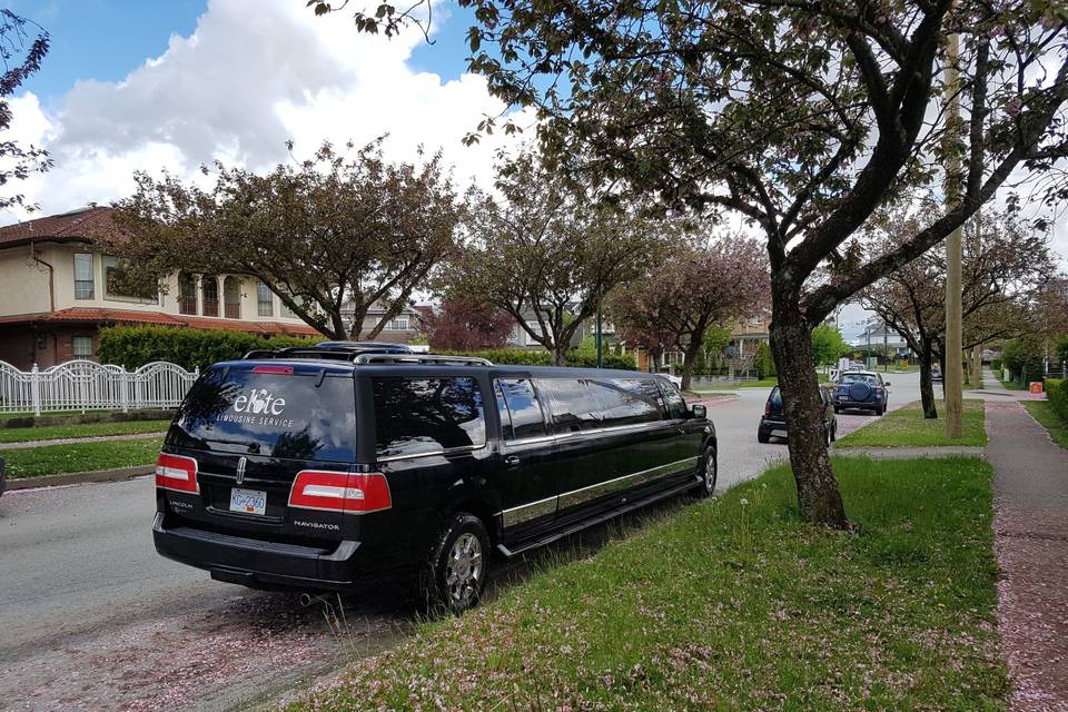 Black lincoln by executive