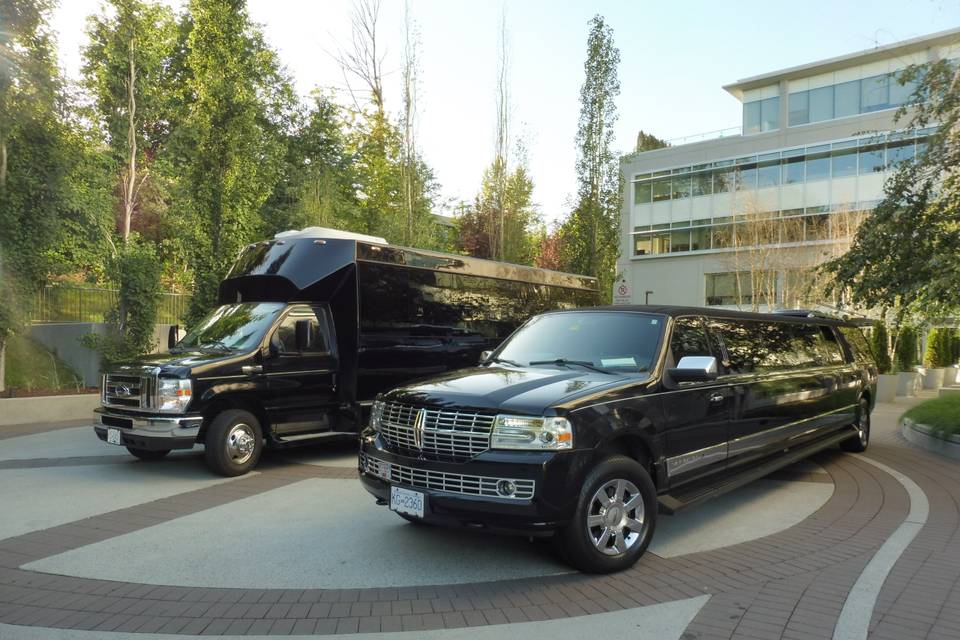 20 passenger limo bus