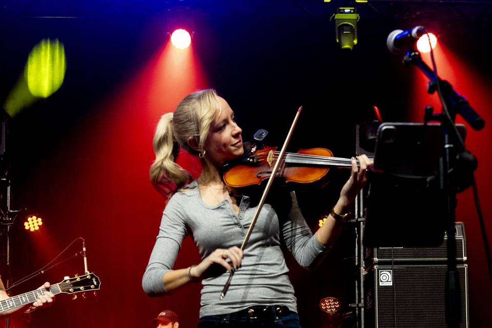 HC Fiddle