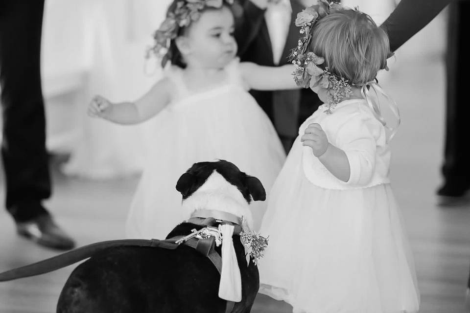 Luxury wedding photographer in