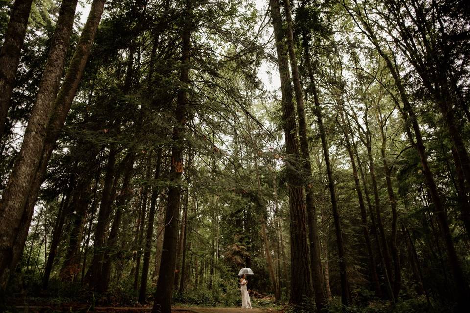 Bowen Park Nanaimo