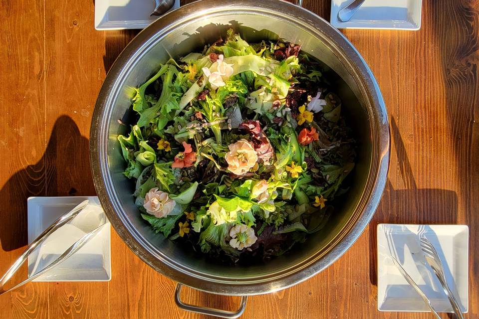 Black Walnut Catering Co.