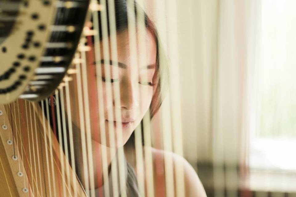 Denise Fung - Harpist