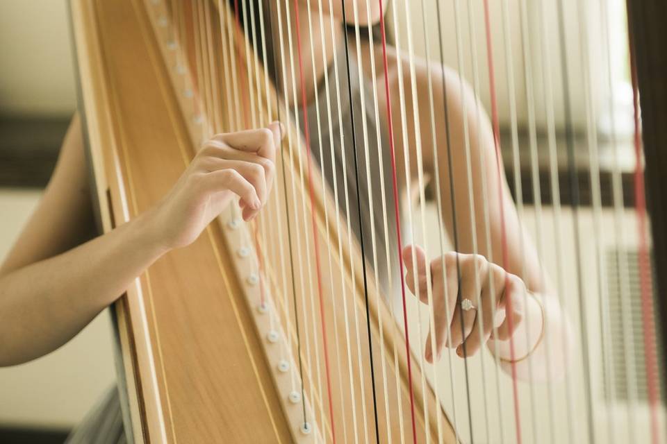 Denise Fung - Harpist