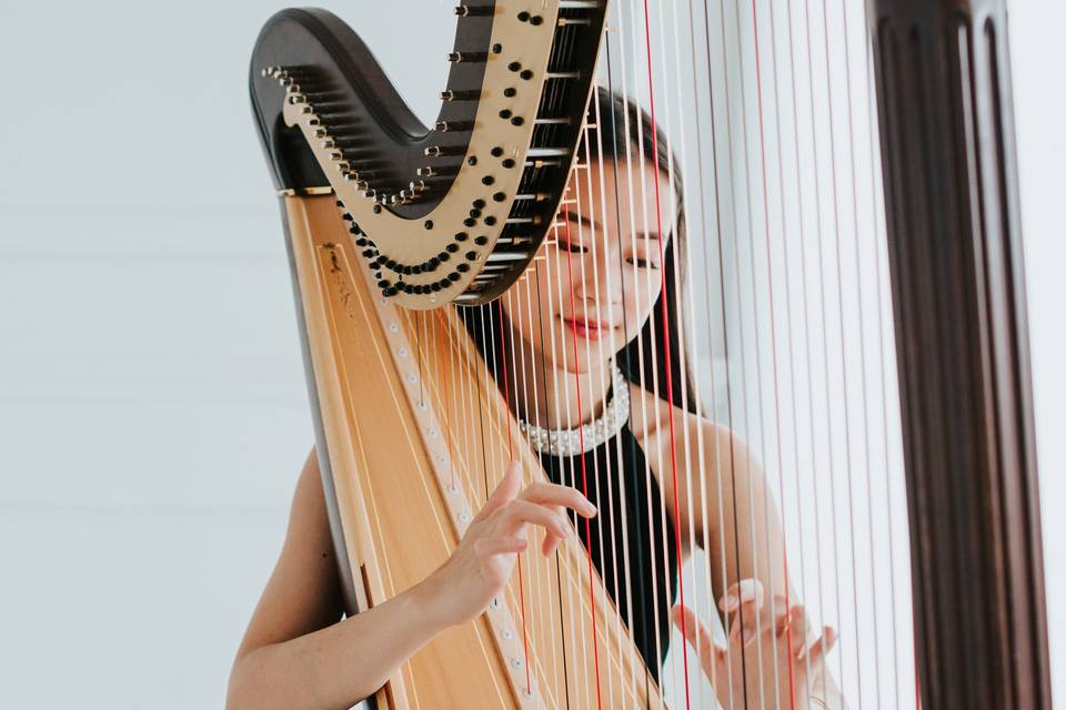 Denise Fung - Harpist