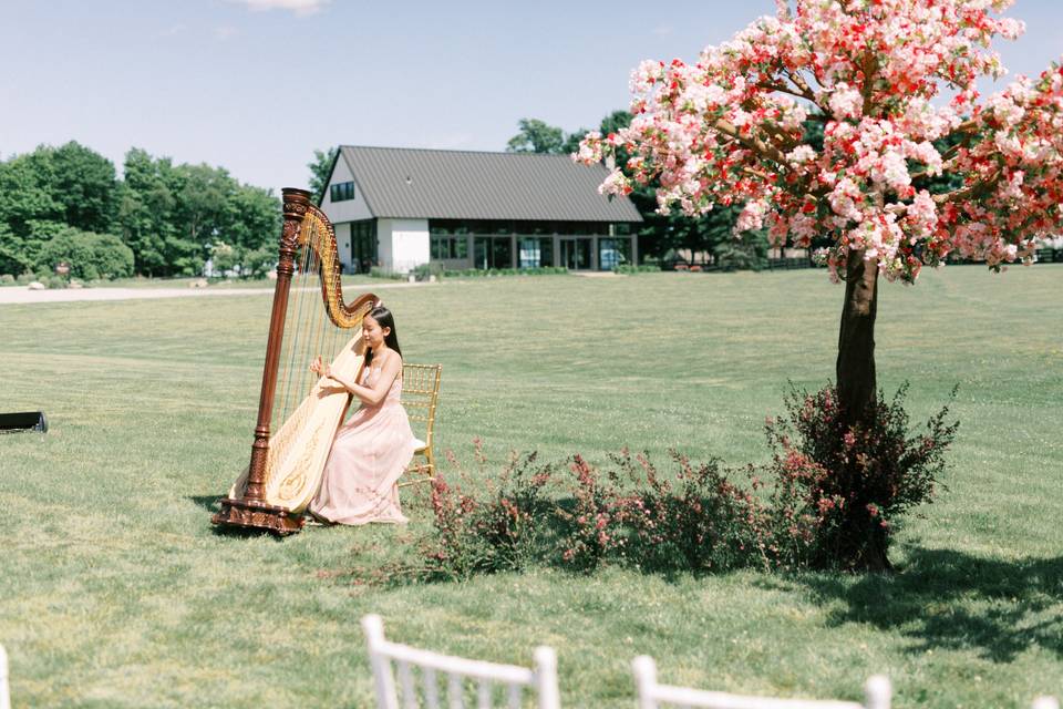 Cherry blossom styled shoot