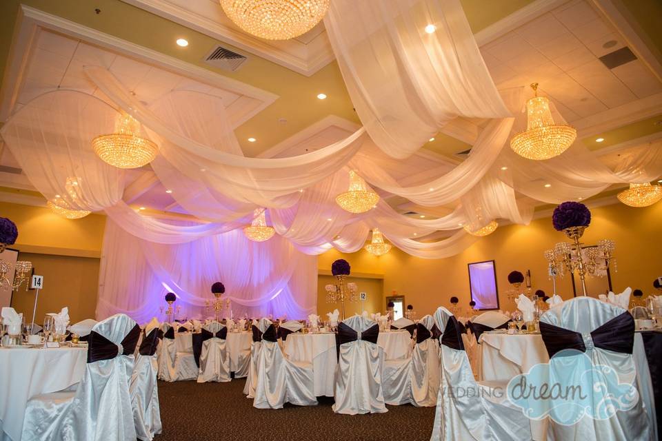 Elegant ceiling draping