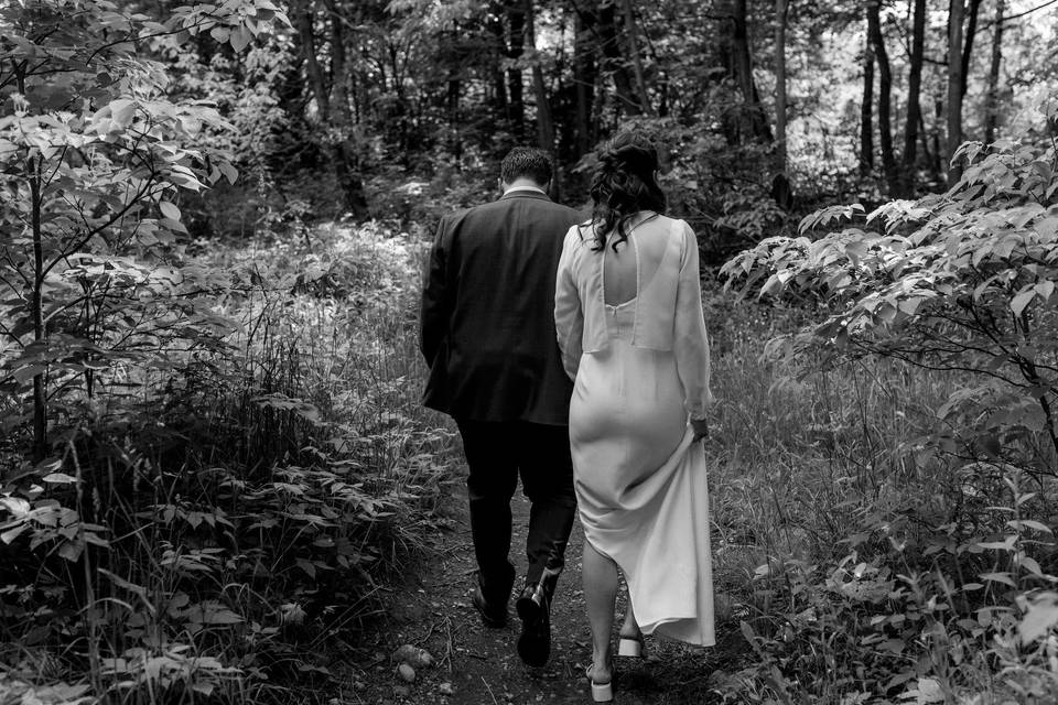 A walk through the woods