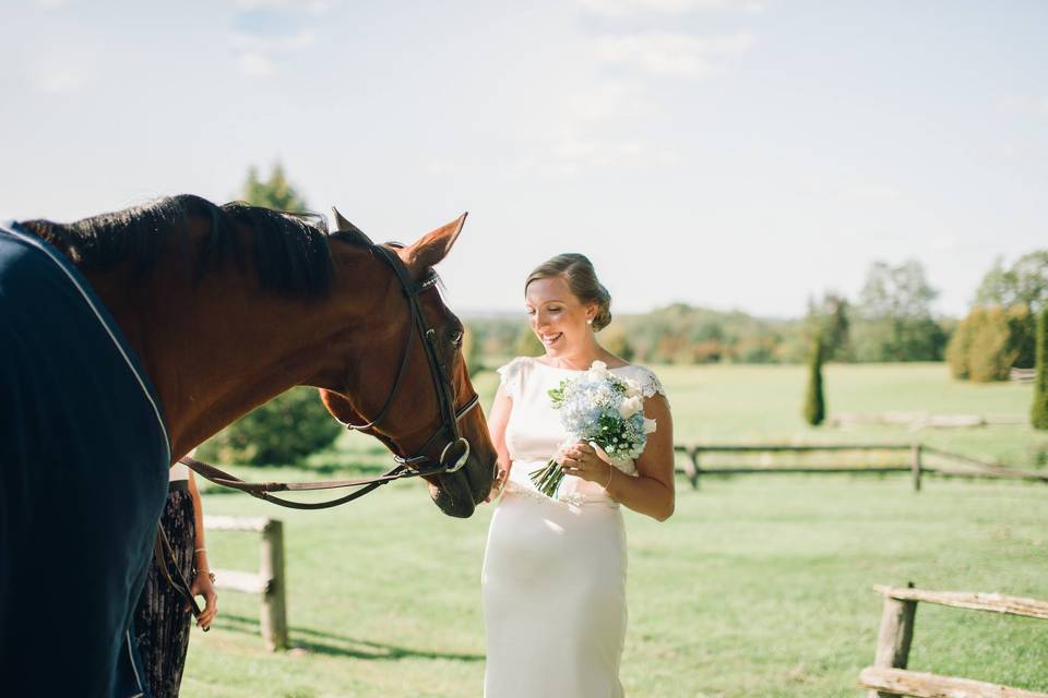 Alabaster Jar Photography