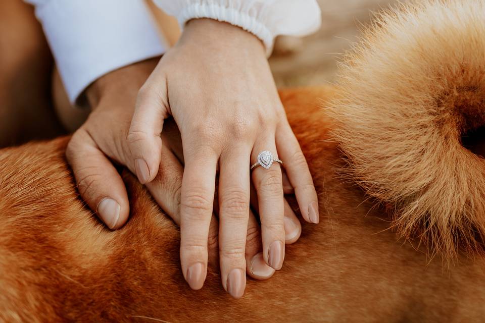 Engagement shoot with dog