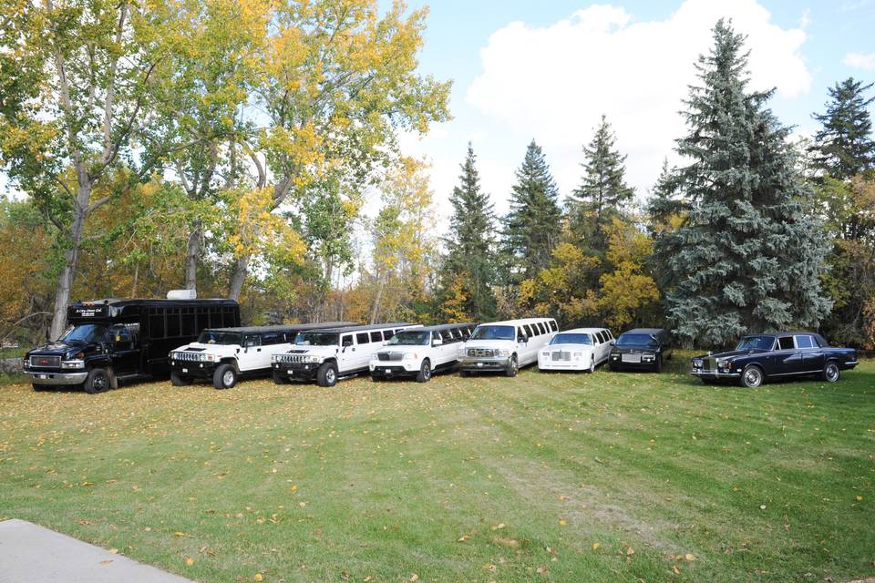 Edmonton, Alberta wedding limousine service