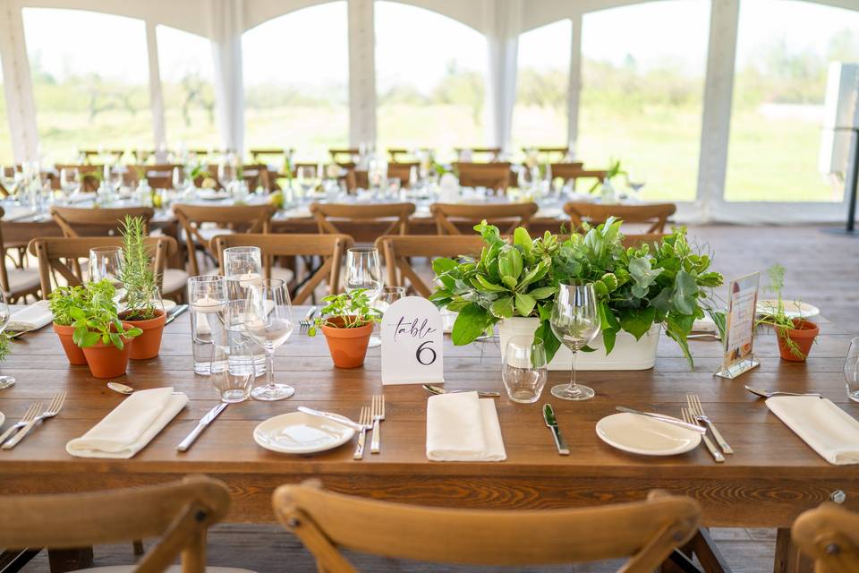 Table Setting
