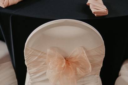 Blush Organza Sashes