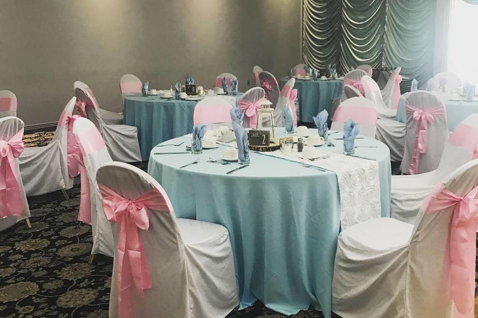 Light Pink Satin Sashes