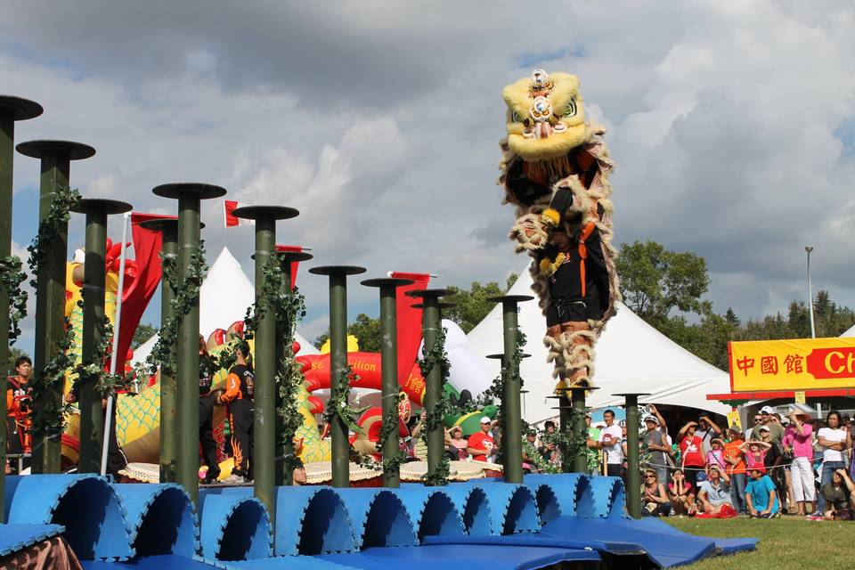 Hong De Cultural - Lion Dance