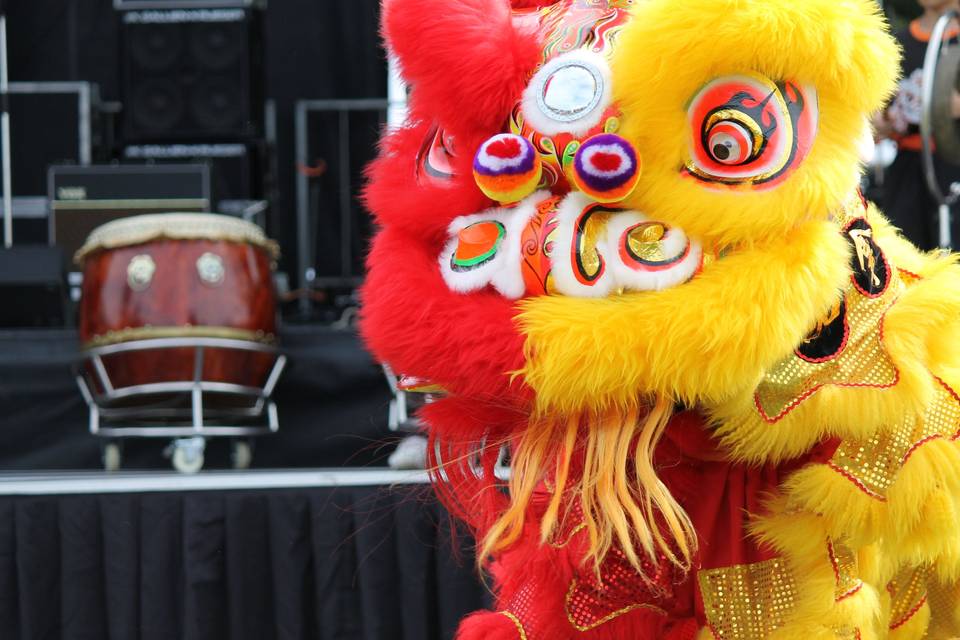 Hong De Cultural - Lion Dance - Entertainer - Edmonton