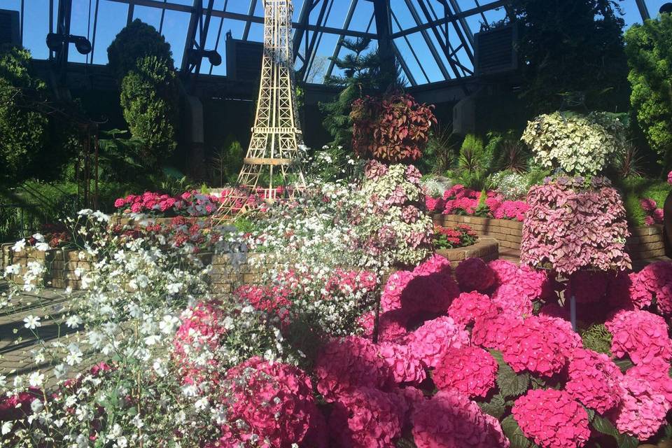 The Muttart Conservatory