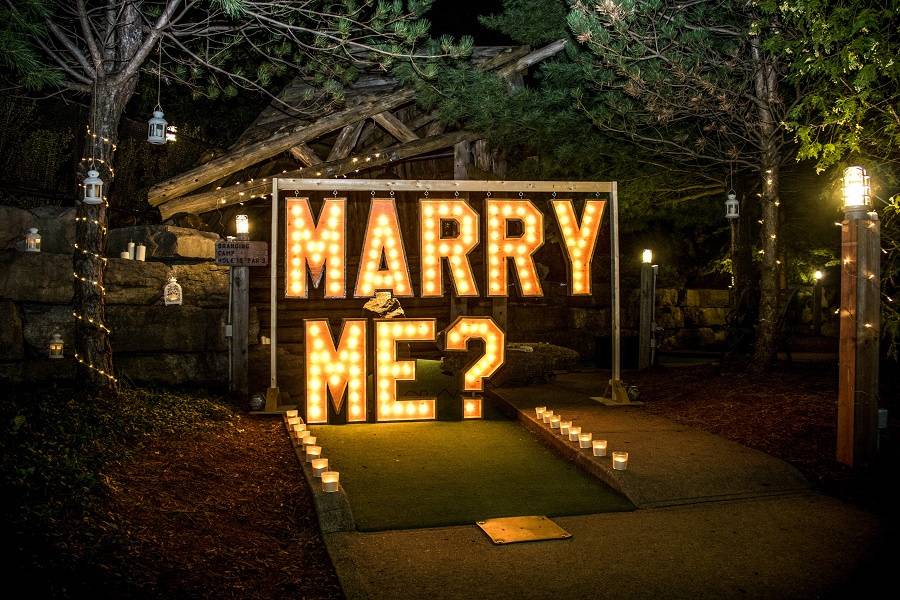 Marriage Proposal 3