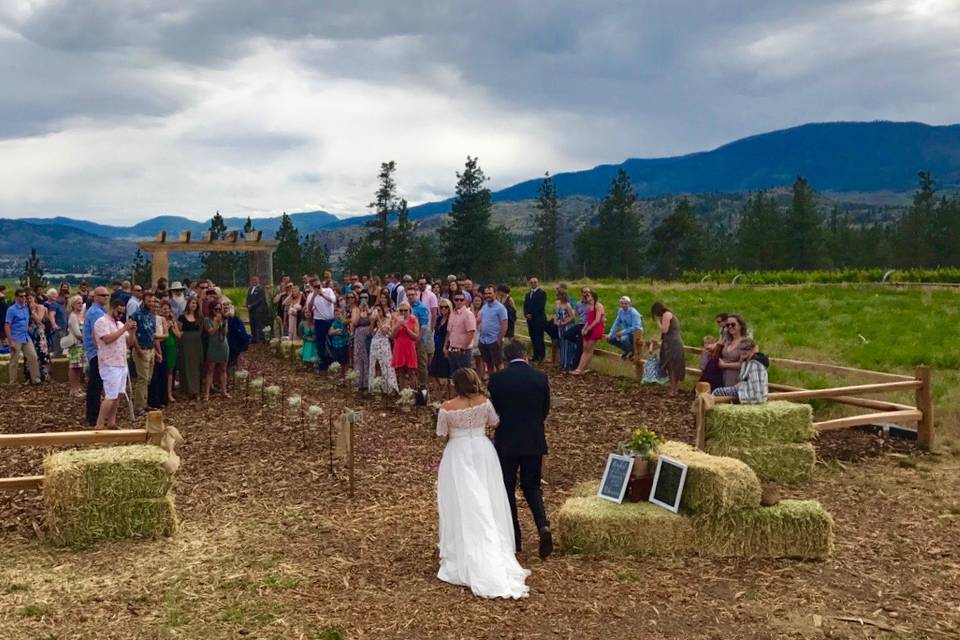 Ceremony in the vineyard