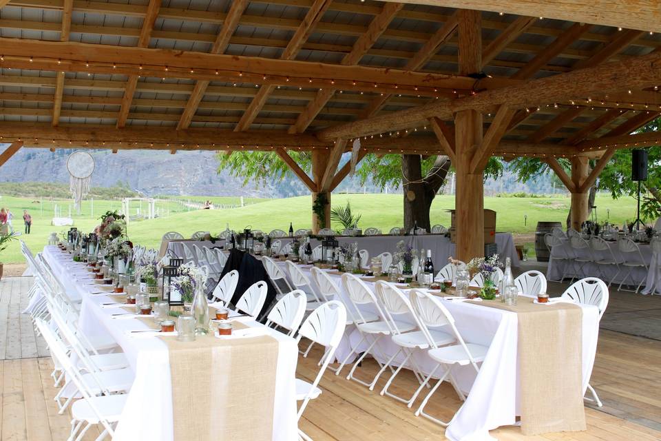 Ceremony in the vineyard