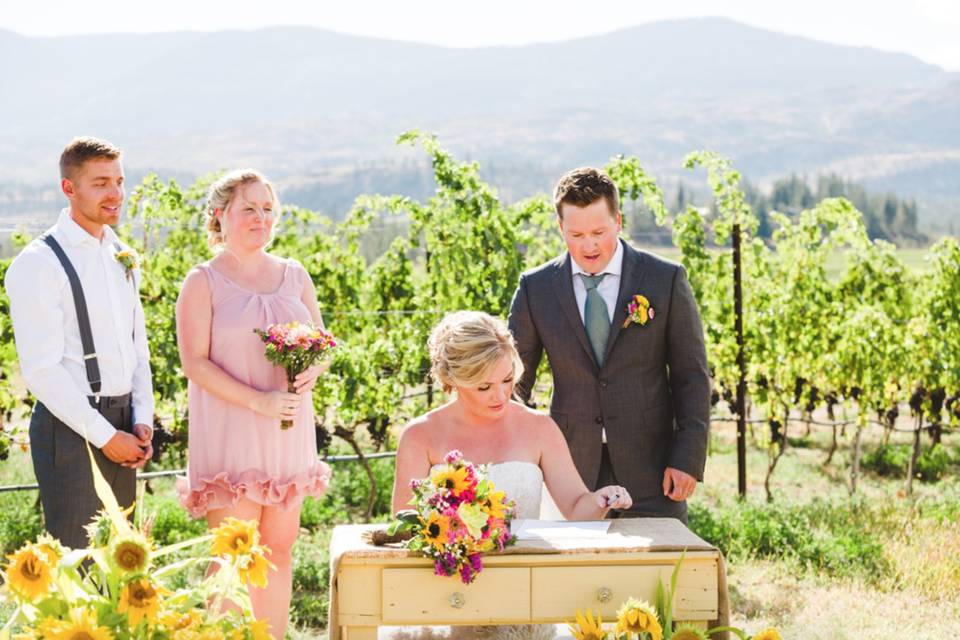 Ceremony in the vineyard