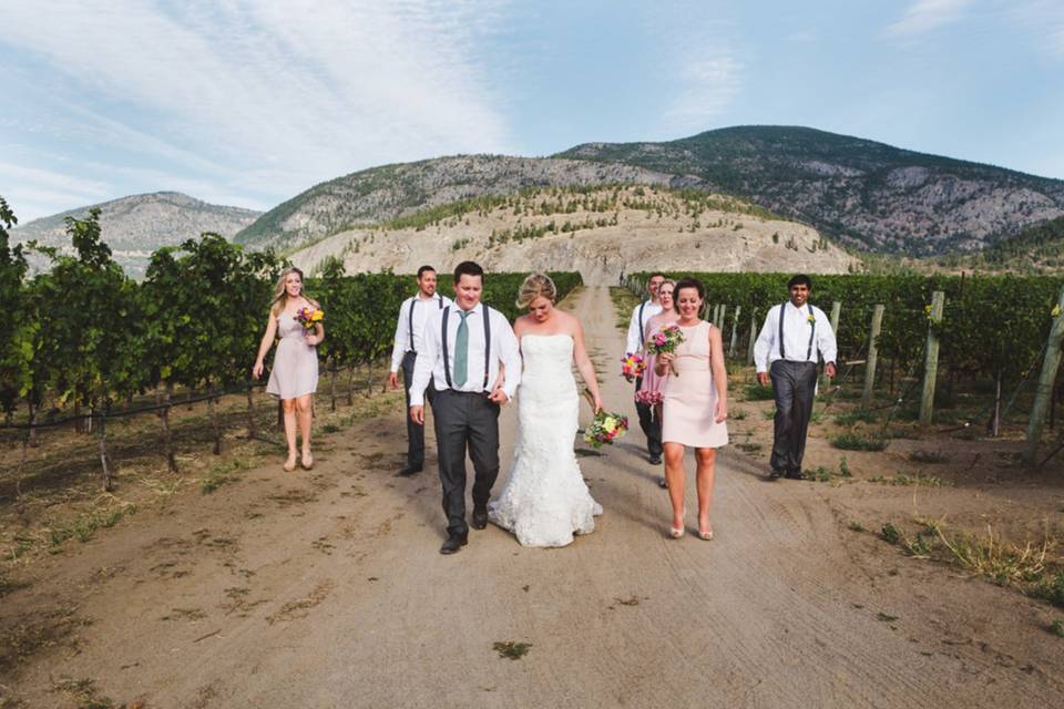 Ceremony in the vineyard