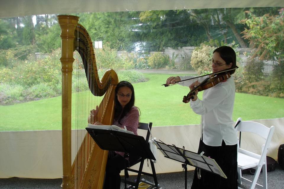 Violin and Harp wedding.jpg