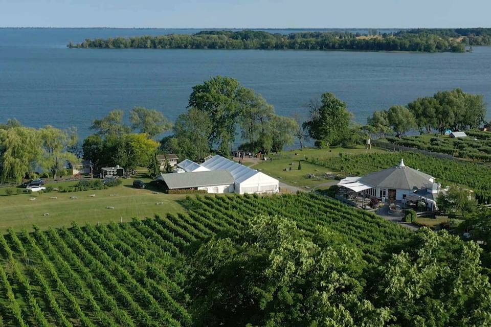 Winery Wedding Drone Footage