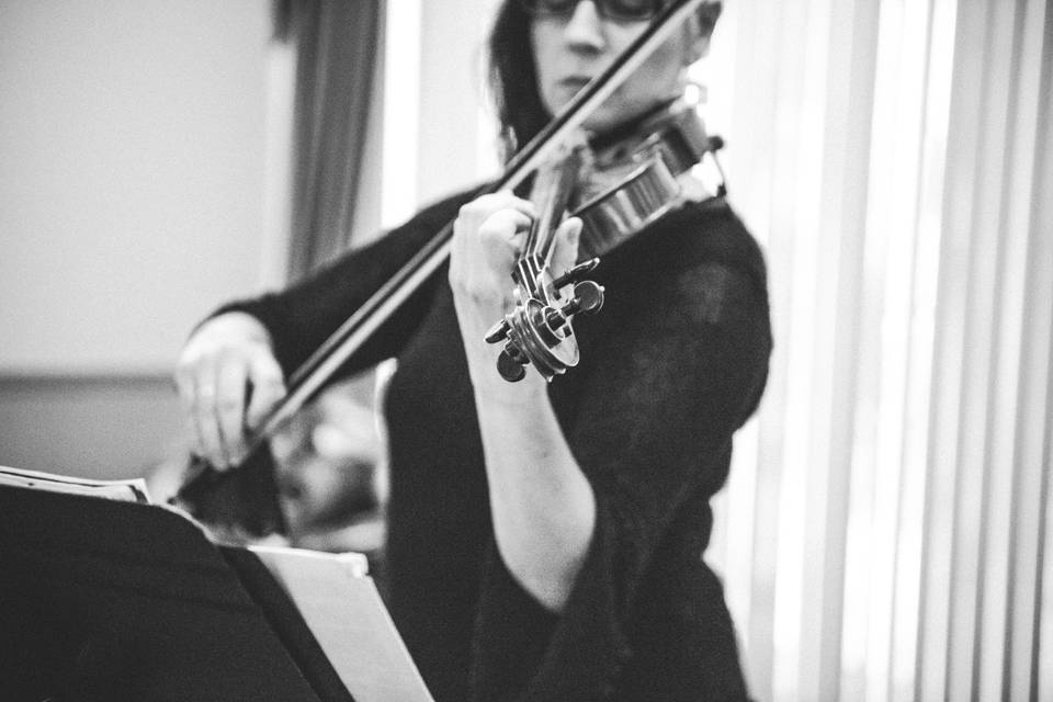 Rhonda Lynn Violin