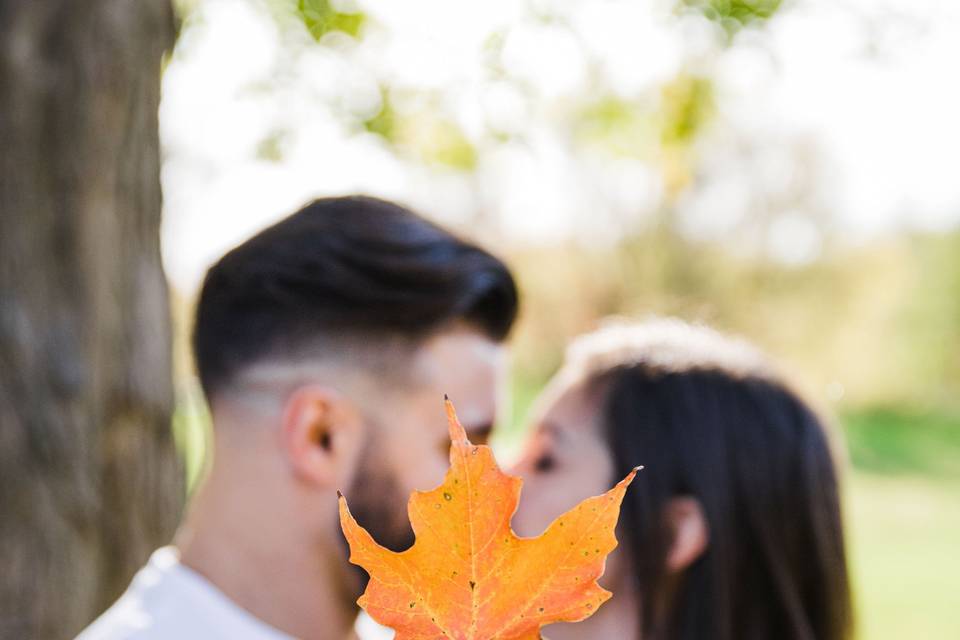 Holding a leaf