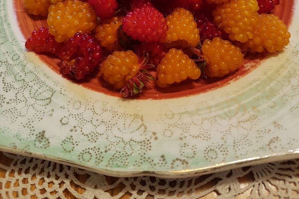 Salmon berries