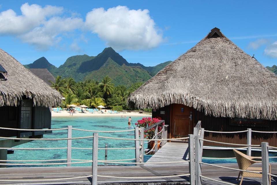 Tahiti By Carl - Travel Professionals International (TPI)