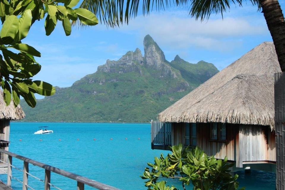 Tahiti By Carl - Travel Professionals International (TPI)