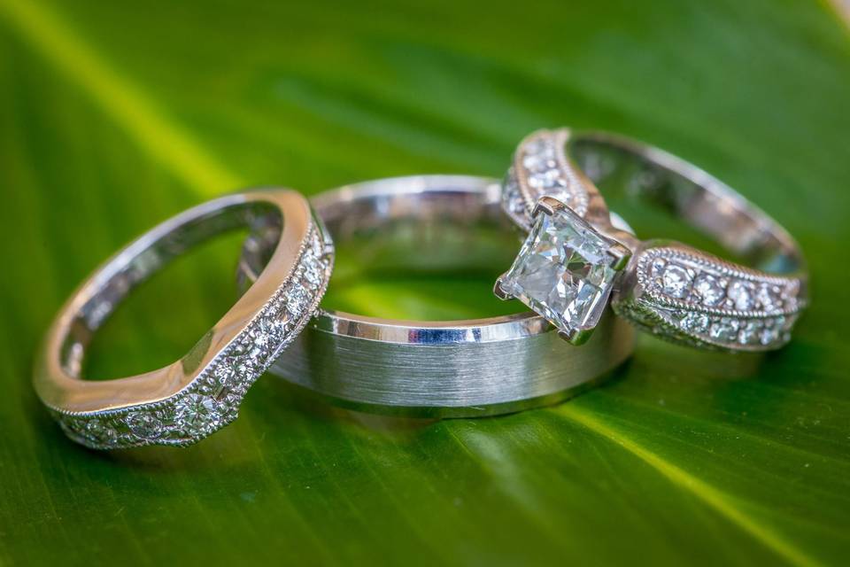 Close up of the rings