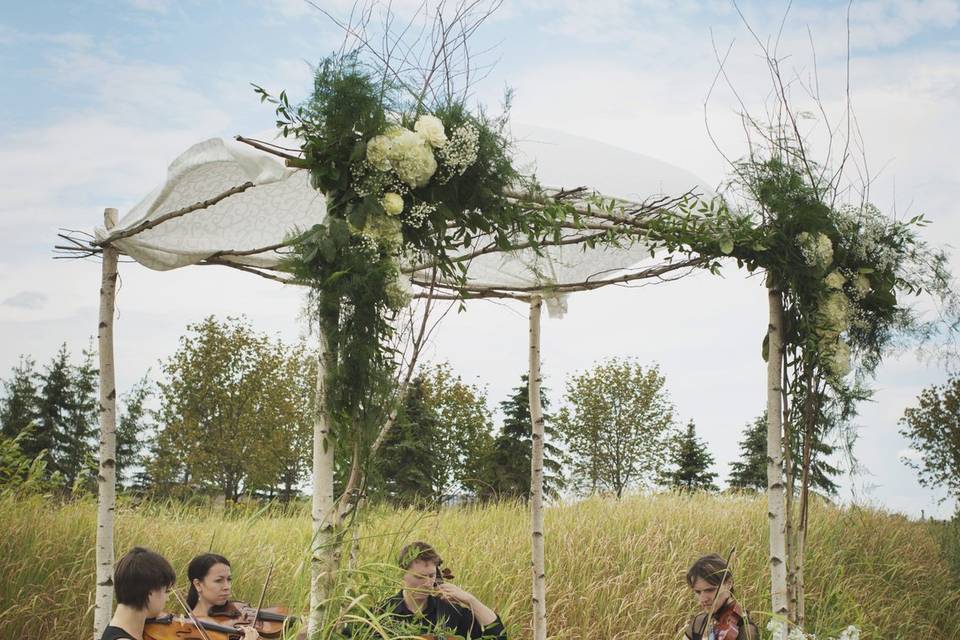 Cadenza String Quartet