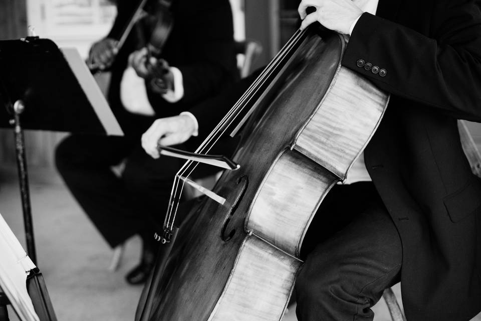 On the cello