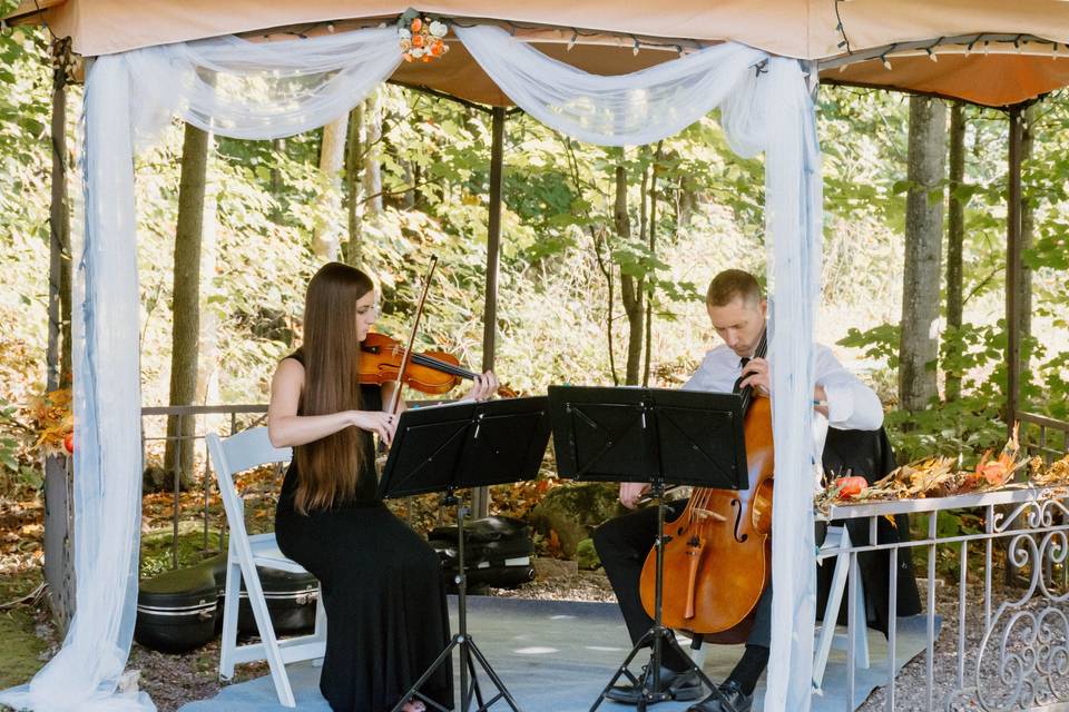 Cadenza String Quartet