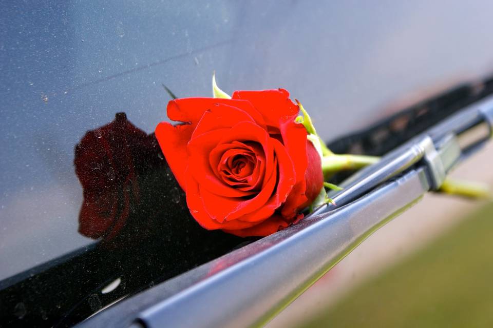 Cultural Decorations