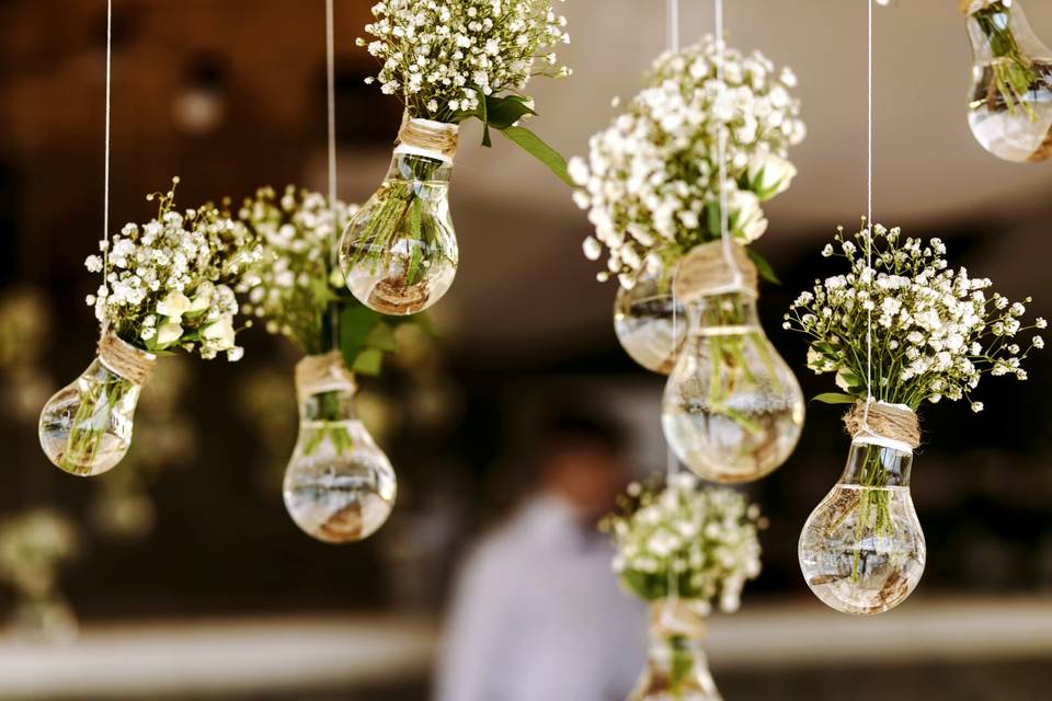 Baby's breath bulbs