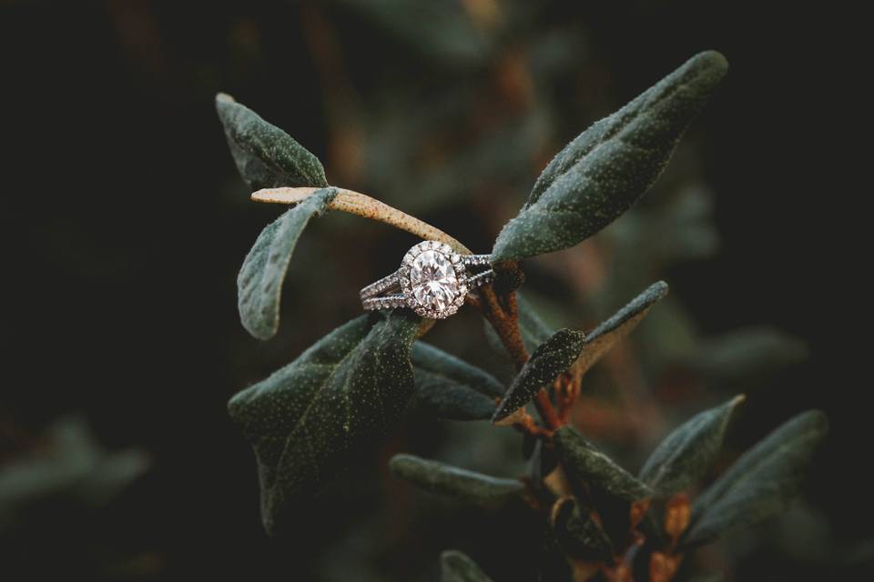 Stunning Ring Shot