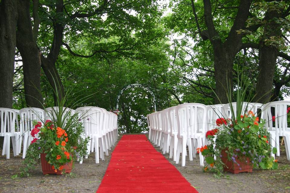 Outdoor wedding with maple trees