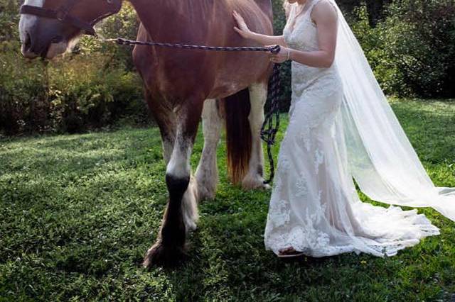 Bride Picture with our Horses