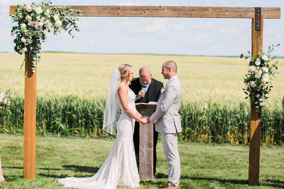 Wheat fields