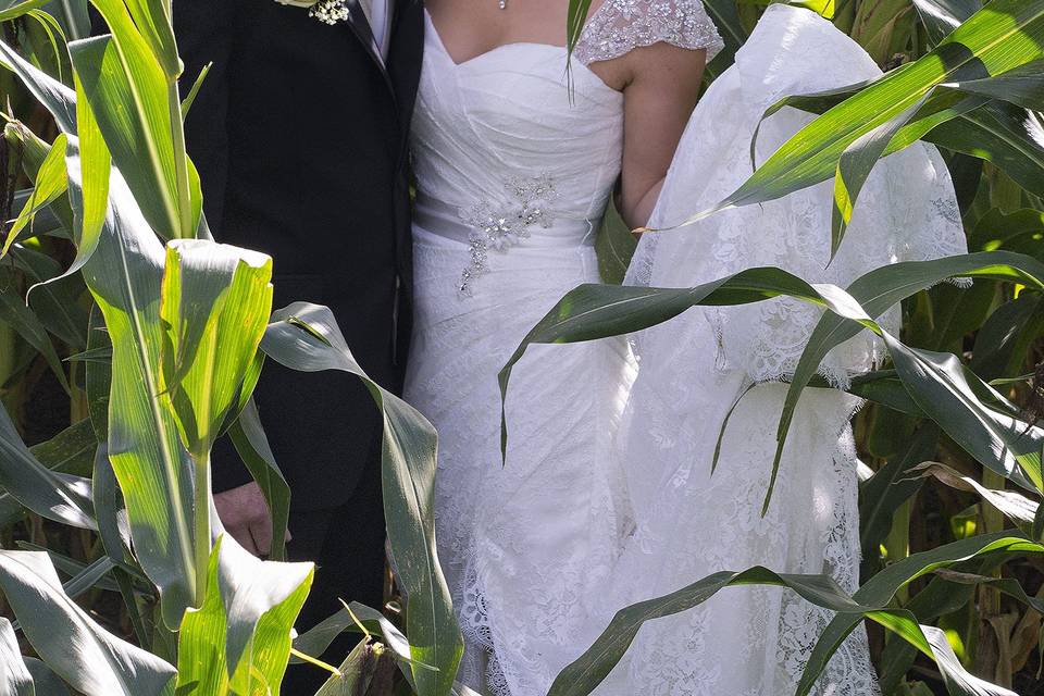 Farm Wedding, London On